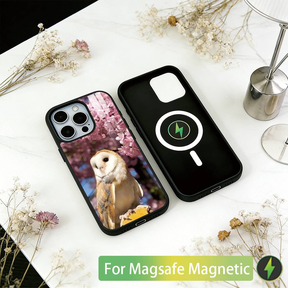 Haustier Süße Eule Handyhülle Für iPhone17,16,15,14,13,12,11 Plus,Pro Magnetisch Für Magsafe Kabelloses Laden