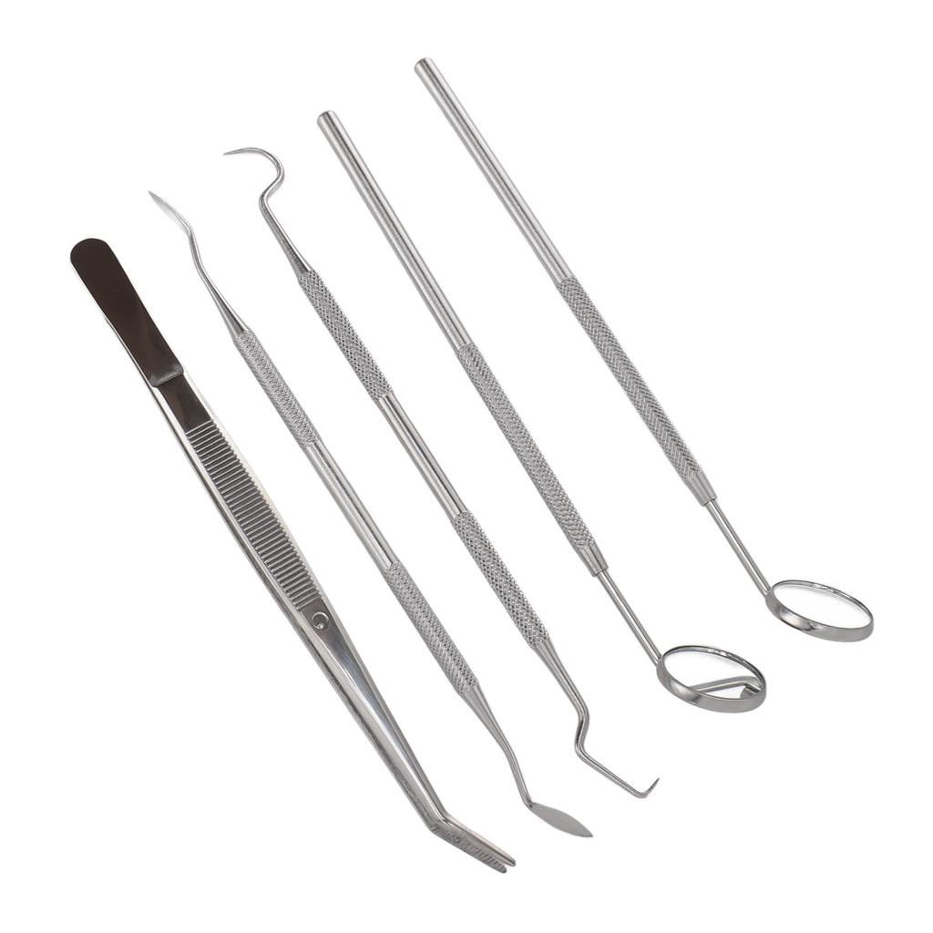 5pcs Professional Oral Health Care Pick Tools Stainless Steel Teeth Cleansing Calculus Remover Tool for Dentist