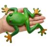 Adults Jokes TPR Spoof Model Toy Soft Squeeze Frog Simulation Frog Squeeze Toys Stretchable Frog