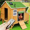 Automatic Solar Powered Chicken Door Infrared Remote Control for Household Chicken Coop Door Waterproof Cold Resistant Pet Door