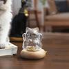 Cute Glass Coin Bank Lucky Cat Small Gold Bean Bank Portable Cat Shape Saving Jar  Office Decor