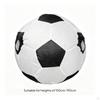 Soccer Ball Costume Inflatable Hilarious Suit for Adults, Halloween,