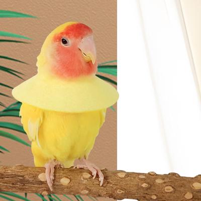 Parrot Anti Bite Collar Recovery for Andulka Bird Korela
