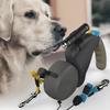 Cães – Colares e correias para cães