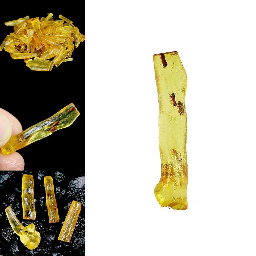 Natural Insect Amber Mineral Crystal For Unique Geological Specimens Collection**