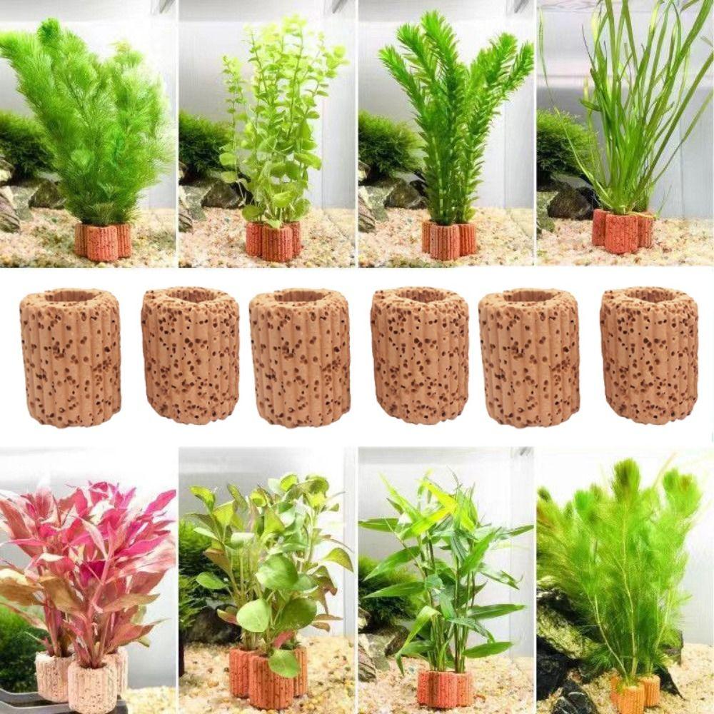 10 Stück/Set Dekorative Wasserpflanzringe Schwerkraftfixierte Wasserpflanzenfixierringe Aquarium
