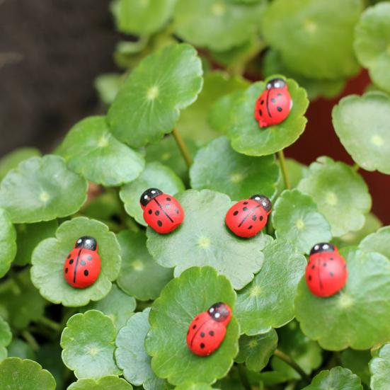 100Pcs/Set Manual Mini Wooden Ladybird Micro Landscape Decor DIY Wall Sticker