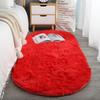Oval Soft Silkly Plush Carpet Modern Home Decor Living Room Sofa Coffee Table Floor Rug Girl Bedroom Foot Mat Balcony Cushion