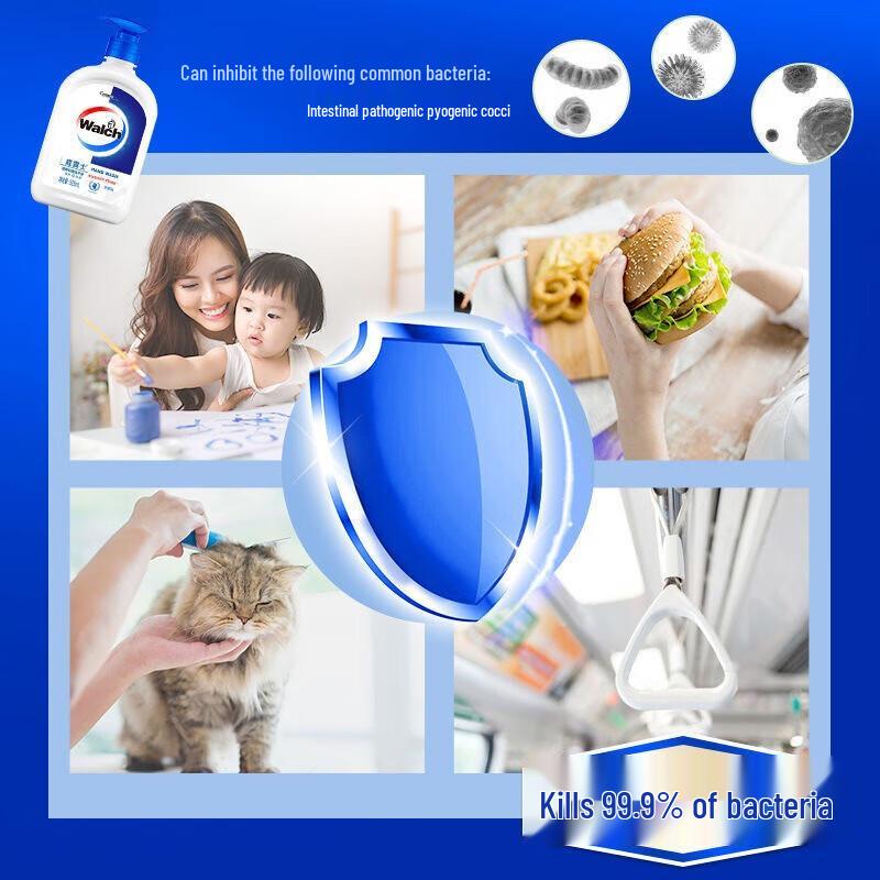 Walch Antibacterial Hand Soap