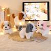 Husky Teddy Electric Plush Walking & Barking Dog Toy Gift