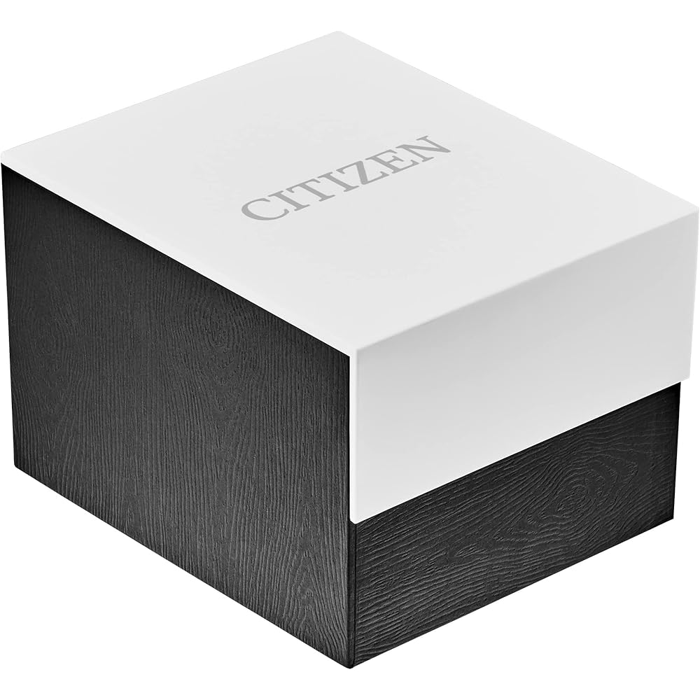Citizen All Silver BI1030-53A Men's Watch Stainless Steel Analog Timepiece