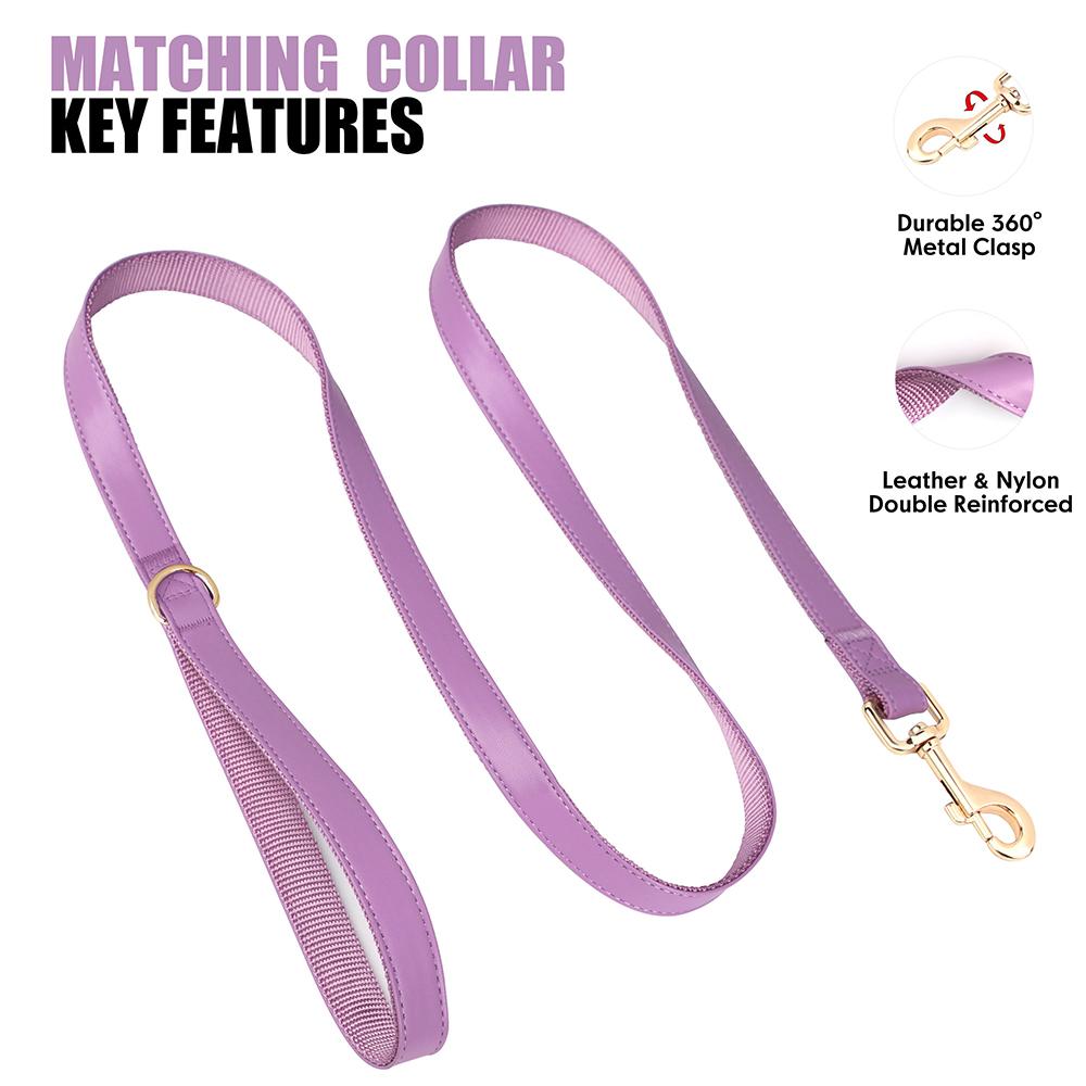 Spersonalizowany zestaw obroży i smyczy dla psa, niestandardowe obroże dla psów ze skóry PU, kolorowe obroże dla zwierząt ze smyczami, woreczki na psie odchody dla psów, mops