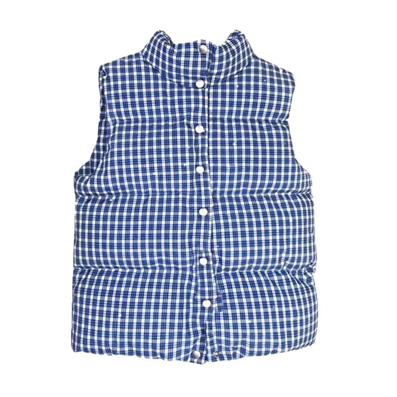 Stand Collar Plaid Sleeveless Cotton Vest Jacket for Women Autumn and Winter New Style Layered Casual Loose Vest