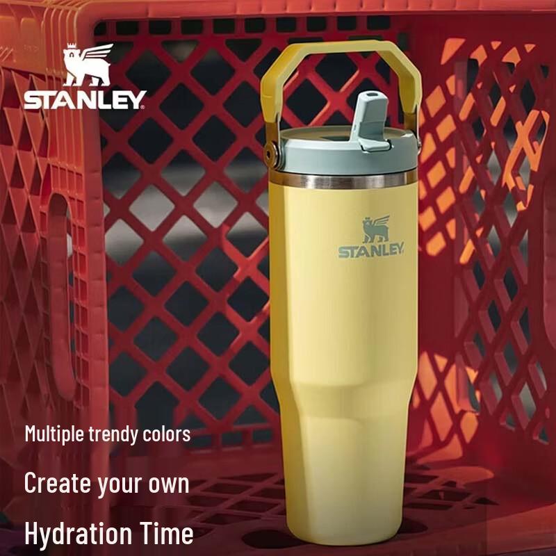 STANLEY Insulated Stainless Steel Straw Tumbler