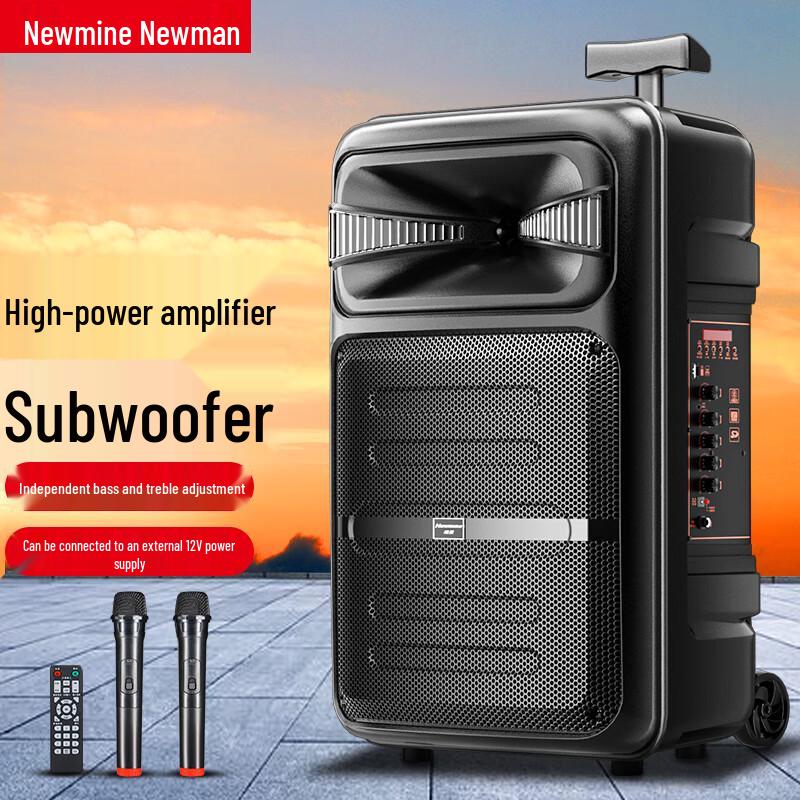 Newmine Portable Outdoor KTV Bluetooth Speaker