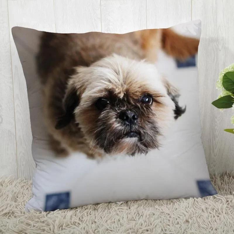 

Наволочка для подушки з собакою ши-тцу. Налаштуйте наволочку. Сучасна декоративна наволочка для вітальні. 40x40cm