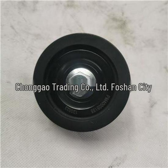 Foton Accessory Idler Pulley - Model 1PM40005155