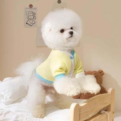 Abbigliamento e scarpe – Maglioni per cani
