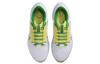 Nike Pegasus 40 Oregon DZ5979-100