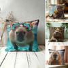 Cute Anime Capybara Pillow Case Double-Sided Plush Sofa Cushion Covers Organic Breathable Invisible Zipper