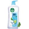 Dettol Cool Mint Body Wash