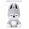 SKZOO PLUSH DANCING Version - RUN IT
