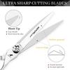 6.0" Napson Silver Hairdressing Barber Scissors: Straight, Bangs, Serrated, and Thinning Shears
