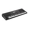 61-Key Professional Arranger Electronic Keyboard Pa300