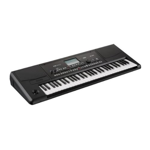 61-Key Professional Arranger Electronic Keyboard Pa300