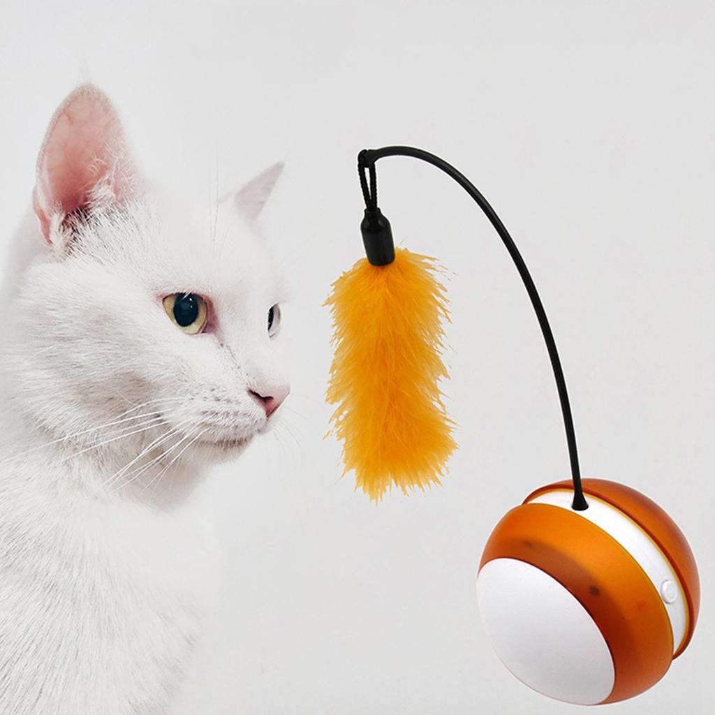 self rolling cat ball