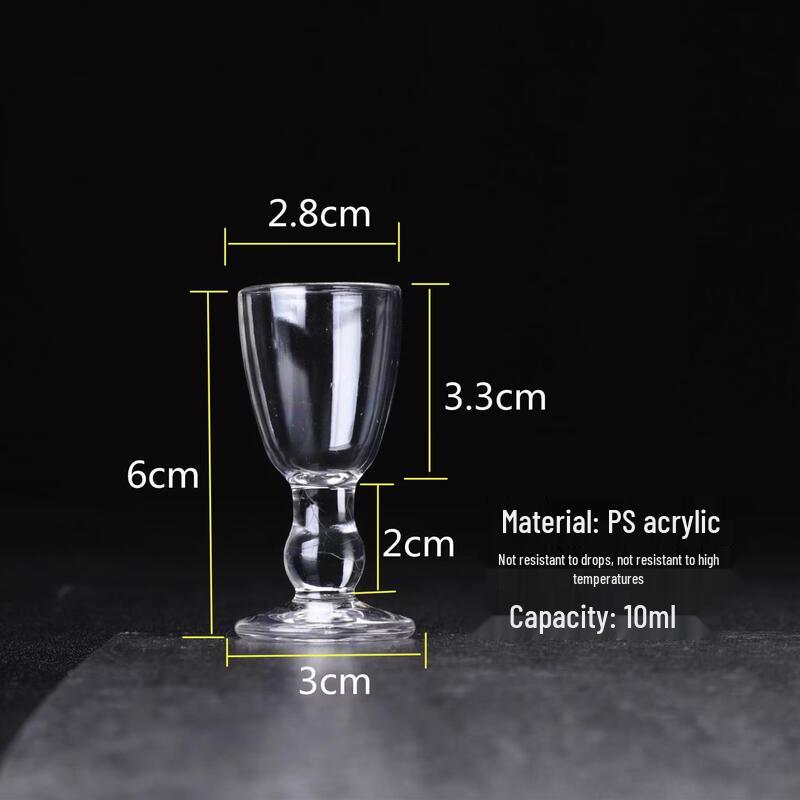 Acrylic Champagne Glass