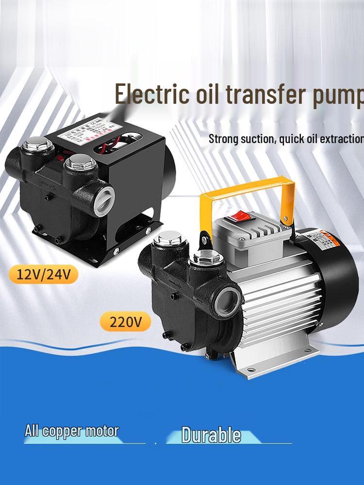 High-Power Diesel Electric Self-Priming Oil Transfer Pump, 12V/24V/220V, 550W Vehicle-Mounted Fuel Dispenser