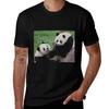 Giant Pandas Tian Tian And Mei Xiang At The National Zoo Tshirt Quick Dry Fishing Tshirt