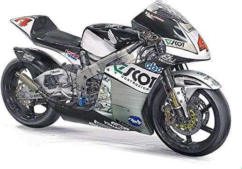 Hasegawa 1/12 Scale Scott Racing Team Honda NSR250RW 2009 WGP250 Champion Plastic Model Kit, BK1
