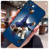 Judo Case Für iPhone 13 Pro Max 16 15 11 12 14 17 Pro Max mini 15 16 Plus 16e 17 Air Handyhülle