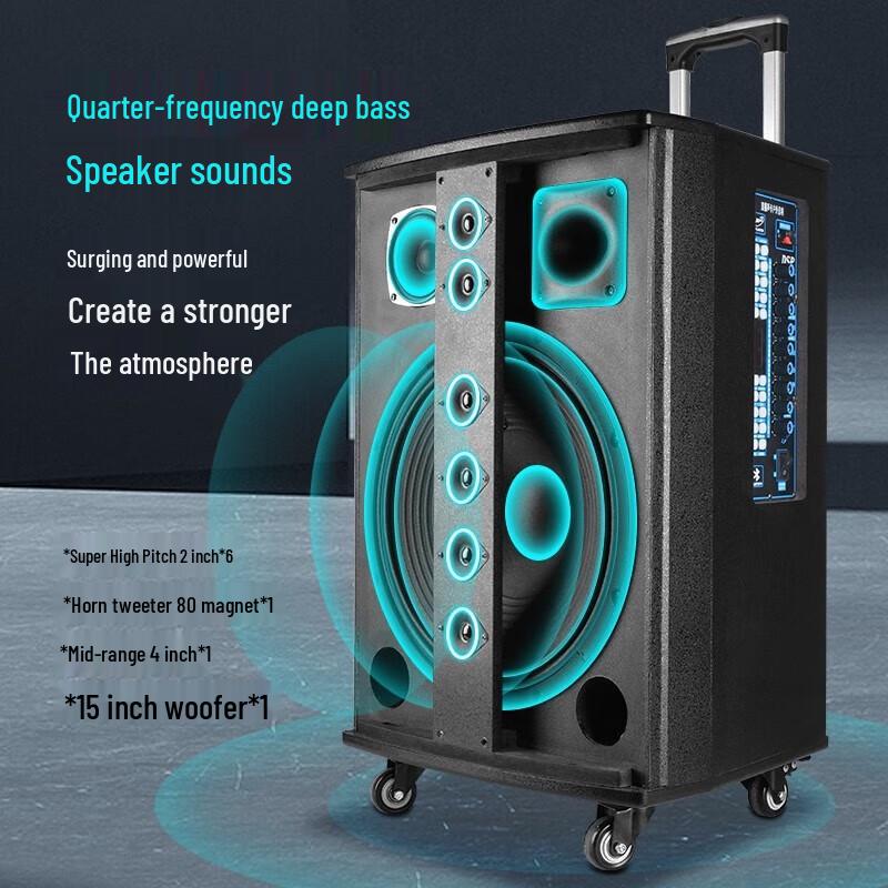 SAST WD-15 15-inch Portable Bluetooth PA Speaker CN plug (adapter included)