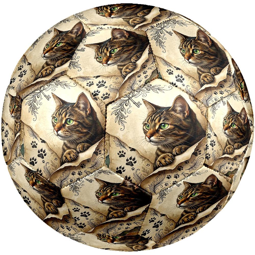 1pc Cat Key Artwork Theme Soccer Ball Football, Size 5, Lightweight PVC, Outdoor Training Soccer Ball,Gift C6590