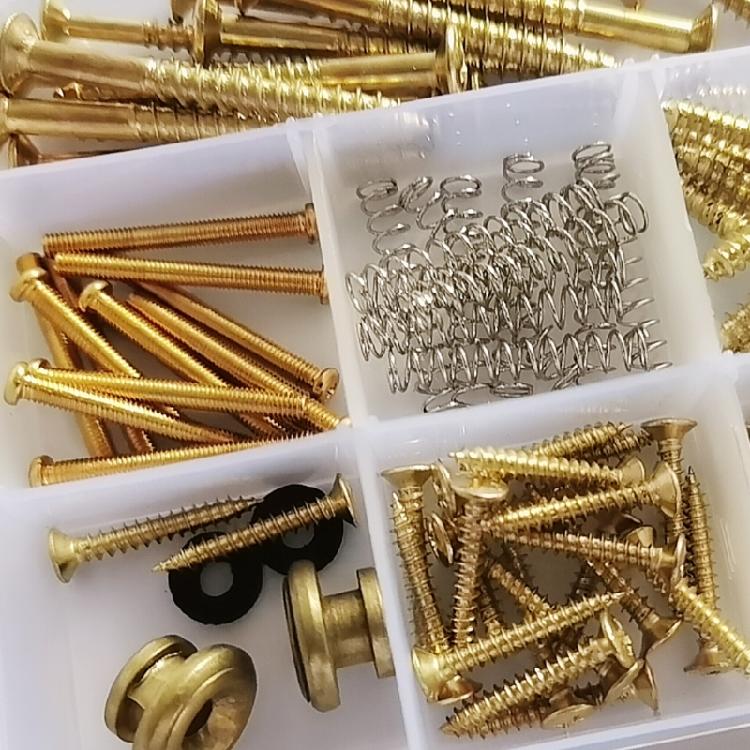 Guitar Parts Kit for Neck Plate, Pickguard, Strap End Pins, Guitar DIY Screws