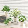 Artificial Bionic Potted Plant for Living Room Table or TV Cabinet