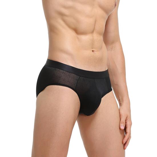Men Briefs Jacquard Stretchy Male Ice Silk See Through Panties for Home