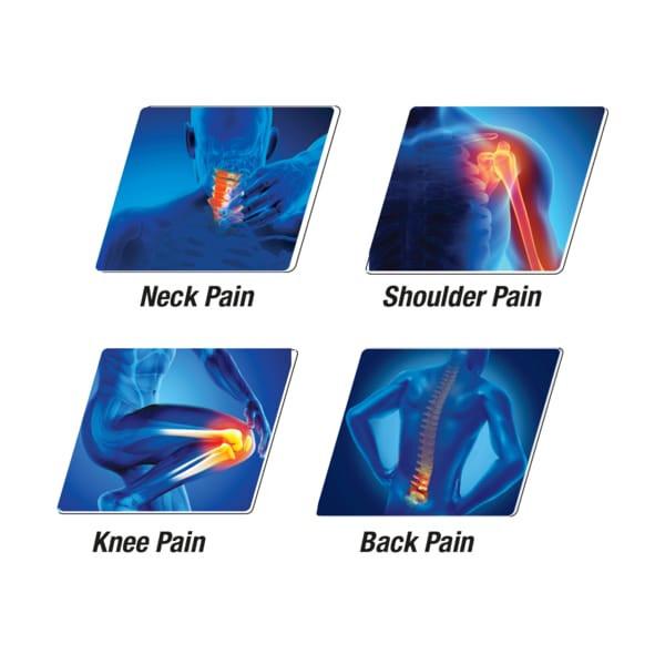 Amrutanjan Ayurvedic Joint Muscle Pain Relief Spray 30g Pack of 2 JL186748610430