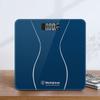 Digital Bathroom Scale T101 (CN Version)