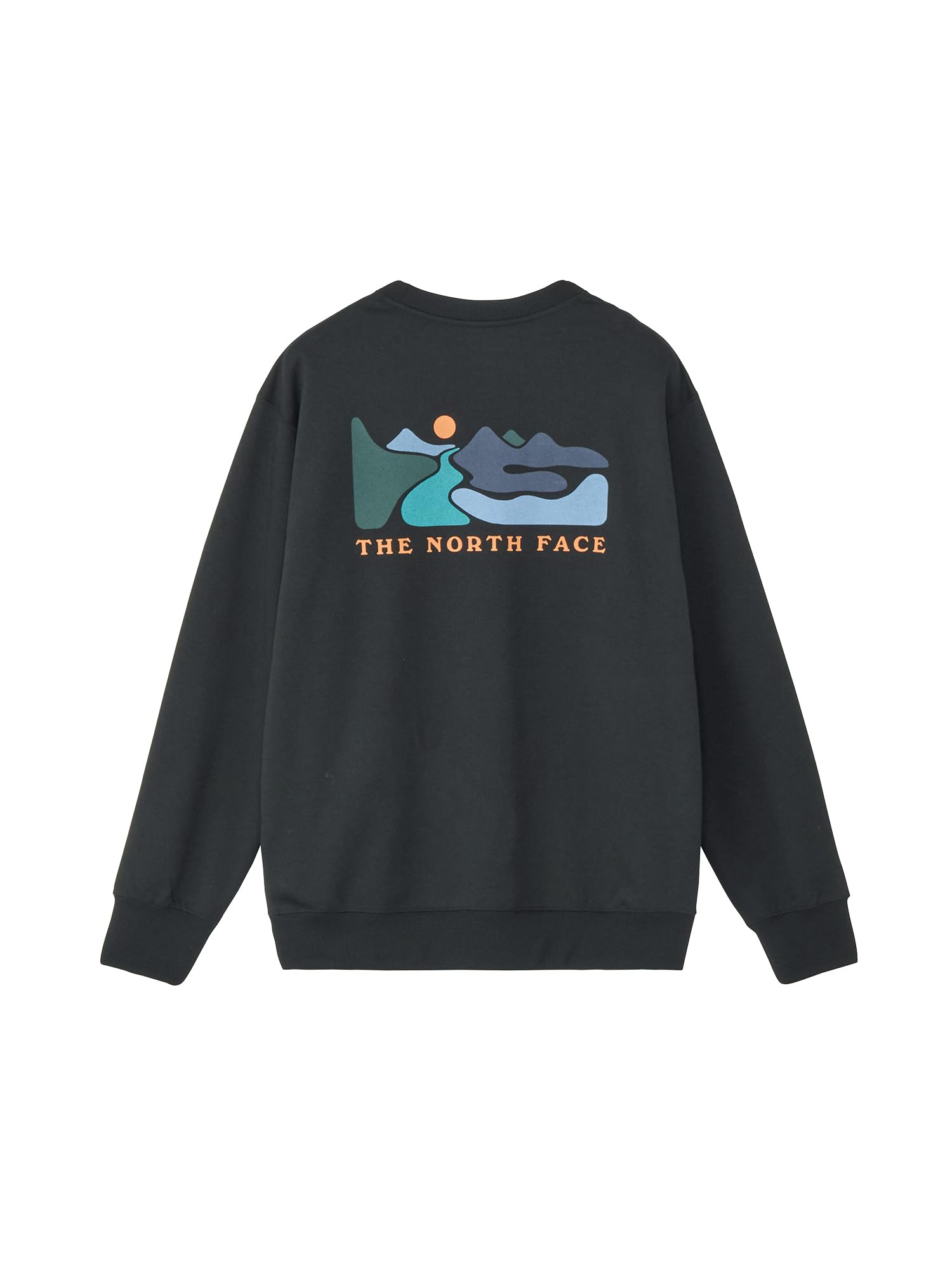 

The North Face Graphic Sweat Crew Size L Sweatshirt, Black, чёрный