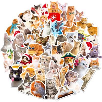 50 Gerçekçi Kedi Çıkartması Üç Çiçek Turuncu Kedi Tekrar Etmeyen Su Geçirmez Dekoratif Çıkartmalar