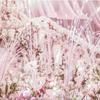 1pc Heads Peacock Grass Artificial Plants Pampas Grass Reed Flower Arrangement Home Bedroom Wedding Decorations Fake Flowers