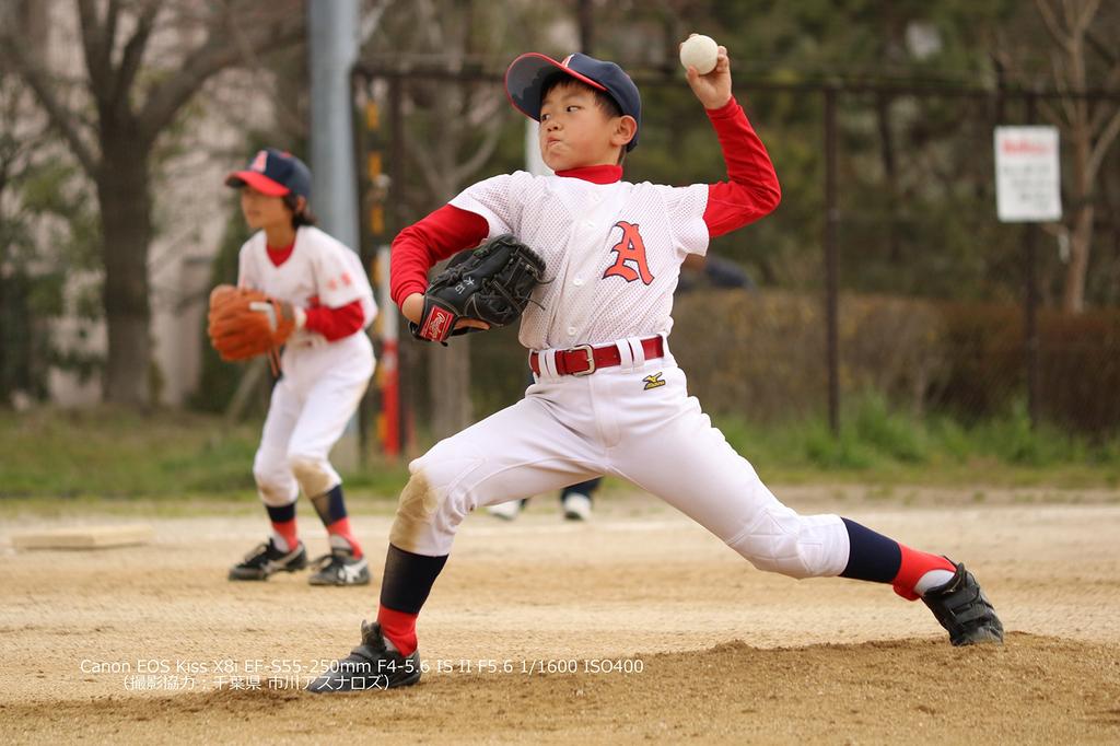 Canon EOS Kiss X8i Digital SLR Camera with EF-S 18-55mm F3.5-5.6 IS STM Lens Kit (KISSX8I-1855ISSTMLK)