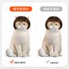 Pet Wigs for Cats and Dogs: Fun Headdresses with Bangs and Bobs, Perfect for Holidays and Accessories.