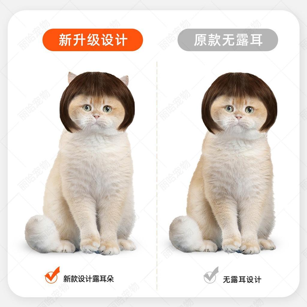 Pet Wigs for Cats and Dogs: Fun Headdresses with Bangs and Bobs, Perfect for Holidays and Accessories.