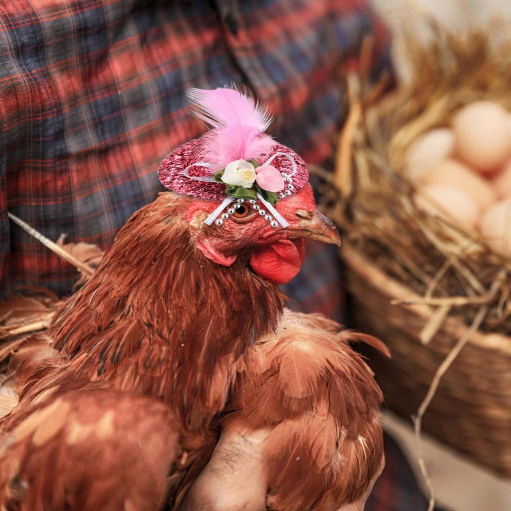 Chicken Hats For Hen Small Funny Chicken Accessories Feather Top Hat
