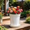 Orchid Pot with Saucer Flowerpot with Side Ventilation And Drainage Holes Rot Prevention Plant Pot for Phalaenopsis Roses Indoor Outdoor Use
